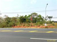 https://ww17.ohoproperty.com/205972/ธนาคารกสิกรไทย/ขายที่ดินว่างเปล่า/กุดชมภู/พิบูลมังสาหาร/อุบลราชธานี/