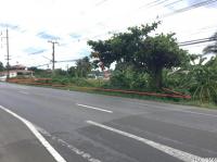 https://ww17.ohoproperty.com/213051/ธนาคารกสิกรไทย/ขายที่ดินว่างเปล่า/หนองปรง/เขาย้อย/เพชรบุรี/