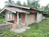 https://ww17.ohoproperty.com/156781/ธนาคารกสิกรไทย/ขายบ้านเดี่ยว/แม่สูน/ฝาง/เชียงใหม่/