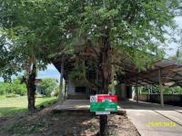 https://ww17.ohoproperty.com/155686/ธนาคารกสิกรไทย/ขายบ้านเดี่ยว/เมืองเดช/เดชอุดม/อุบลราชธานี/