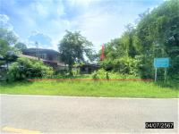 https://ww17.ohoproperty.com/157492/ธนาคารกสิกรไทย/ขายบ้านเดี่ยว/เมืองใหม่/ศรีบุญเรือง/หนองบัวลำภู/