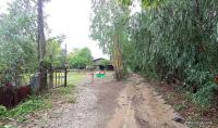 https://ww17.ohoproperty.com/167977/ธนาคารกสิกรไทย/ขายบ้านเดี่ยว/โพธิ์ศรีสว่าง/โพนทอง/ร้อยเอ็ด/