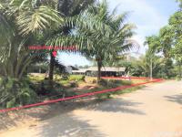 https://ww17.ohoproperty.com/165696/ธนาคารกสิกรไทย/ขายบ้านเดี่ยว/ช้างกลาง/ช้างกลาง/นครศรีธรรมราช/