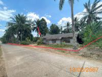 https://ww17.ohoproperty.com/177214/ธนาคารกสิกรไทย/ขายบ้านเดี่ยว/ห้วยน้ำขาว/คลองท่อม/กระบี่/