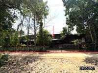 https://ww17.ohoproperty.com/182863/ธนาคารกสิกรไทย/ขายบ้านเดี่ยว/ตาดทอง/เมืองยโสธร/ยโสธร/