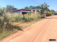 https://ww17.ohoproperty.com/188385/ธนาคารกสิกรไทย/ขายบ้านเดี่ยว/คำตากล้า/คำตากล้า/สกลนคร/