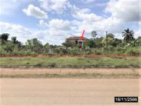 https://ww17.ohoproperty.com/188158/ธนาคารกสิกรไทย/ขายบ้านเดี่ยว/พังขว้าง/เมืองสกลนคร/สกลนคร/