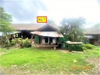 https://ww17.ohoproperty.com/206079/ธนาคารกสิกรไทย/ขายบ้านเดี่ยว/แม่คำ/แม่จัน/เชียงราย/