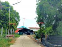https://ww17.ohoproperty.com/211177/ธนาคารกสิกรไทย/ขายบ้านเดี่ยว/ศาลาแดง/เมืองอ่างทอง/อ่างทอง/