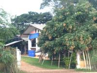 https://ww17.ohoproperty.com/212538/ธนาคารกสิกรไทย/ขายบ้านเดี่ยว/นาทราย/ลี้/ลำพูน/