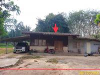 https://ww17.ohoproperty.com/217814/ธนาคารกสิกรไทย/ขายบ้านเดี่ยว/หลักช้าง/ช้างกลาง/นครศรีธรรมราช/