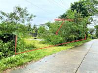 https://ww17.ohoproperty.com/159502/ธนาคารกสิกรไทย/ขายอาคารโรงงาน/ทุ่งหวัง/เมืองสงขลา/สงขลา/