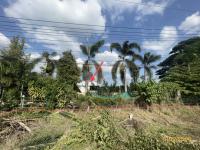 https://ww17.ohoproperty.com/155369/ธนาคารกสิกรไทย/ขายโกดัง/ประดาง/วังเจ้า/ตาก/