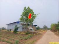 https://ww17.ohoproperty.com/199706/ธนาคารกสิกรไทย/ขายโกดัง/หันนางาม/ศรีบุญเรือง/หนองบัวลำภู/