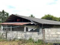 https://ww17.ohoproperty.com/212878/ธนาคารกสิกรไทย/ขายฟาร์ม/นาแขม/เมืองเลย/เลย/
