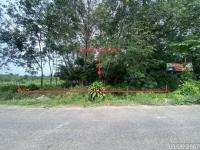 https://ww17.ohoproperty.com/205029/ธนาคารกสิกรไทย/ขายสวนเกษตร/พะตง/หาดใหญ่/สงขลา/