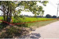 https://ww17.ohoproperty.com/220457/ธนาคารไทยพาณิชย์/ขายที่ดินว่างเปล่า/เมืองเก่า/เมืองพิจิตร/พิจิตร/