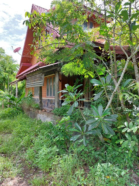 https://ww17.ohoproperty.com/185355/ธนาคารกรุงเทพ/ขายบ้าน/ท่ายาง/เมืองชุมพร/ชุมพร/