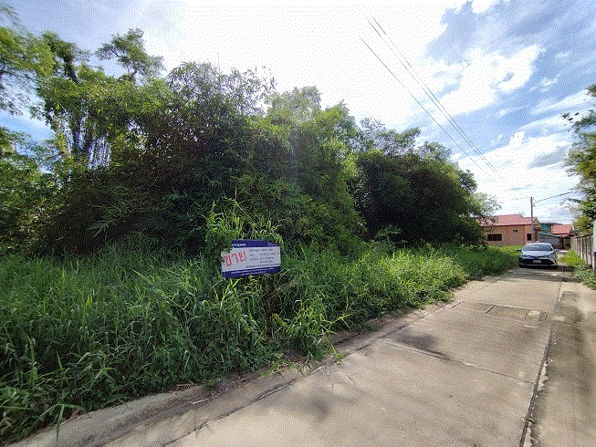 https://ww17.ohoproperty.com/185271/ธนาคารกรุงเทพ/ขายที่ดิน/ท่าตำหนัก/นครชัยศรี/นครปฐม/