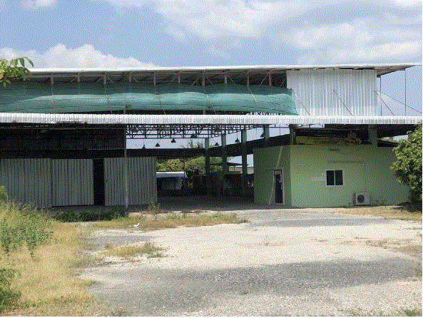https://ww17.ohoproperty.com/185516/ธนาคารกรุงเทพ/ขายโรงงาน/หนองแฝก/สารภี/เชียงใหม่/