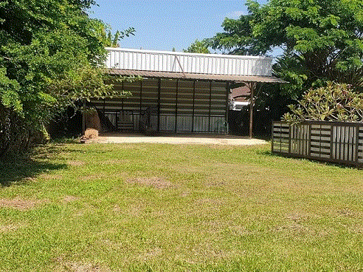 https://ww17.ohoproperty.com/214700/ธนาคารกรุงเทพ/ขายที่ดินพร้อมสิ่งปลูกสร้าง (อื่น ๆ)/ริมกก/เมืองเชียงราย/เชียงราย/