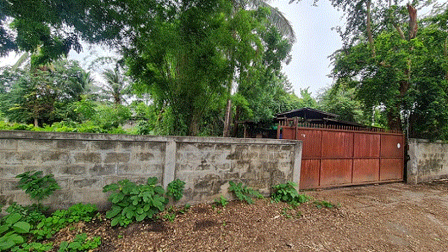 https://ww17.ohoproperty.com/219186/ธนาคารกรุงเทพ/ขายโรงเรือนปศุสัตว์/ไม้งาม/เมืองตาก/ตาก/