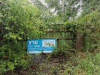 https://ww17.ohoproperty.com/211329/ธนาคารทหารไทยธนชาต/ขายโรงงาน/หมอนนาง/พนัสนิคม/ชลบุรี/